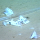 Imagen para el artículo titulado Encuentran una bolsa de plástico en la fosa de las Marianas, el lugar más profundo del océano